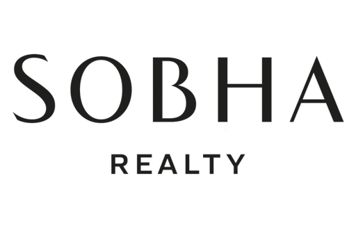Developer Image